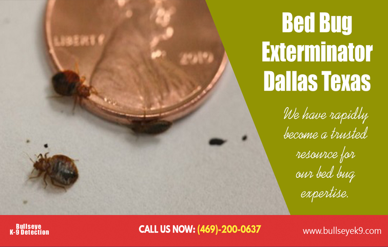 bed bug control services in dallas texas