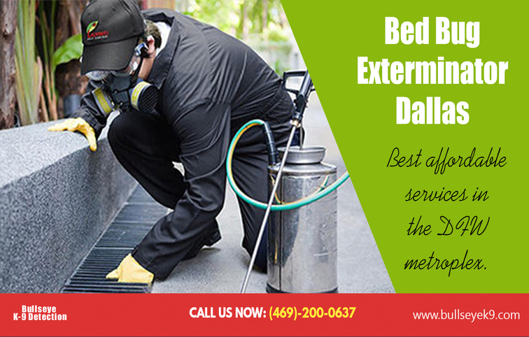 Bed bug exterminator dallas