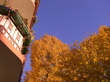 Herbst Herbst