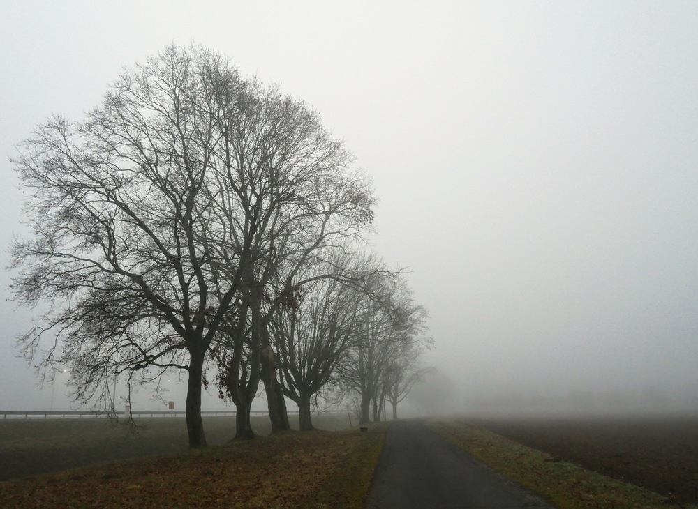 Virtuellen Jakobsweg - Seite 8