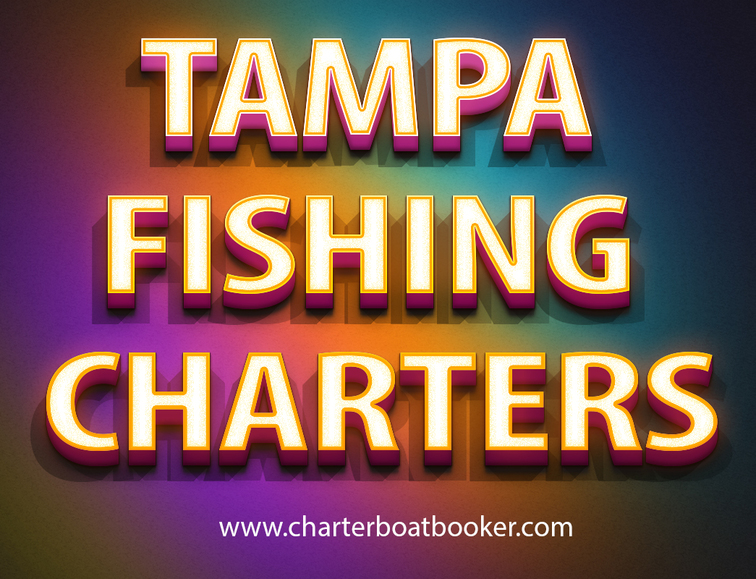 Tampa Charter Fishing