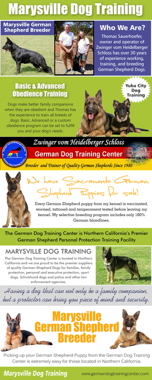 how to a german shepherd to attack how to a german shepherd to attack how to a german shepherd to attack how to a german shepherd to attack