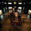 Akeley+hall+of+african+mammals