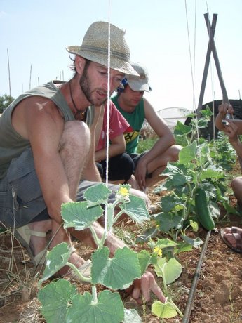 En Ferran ens mostra sa finca