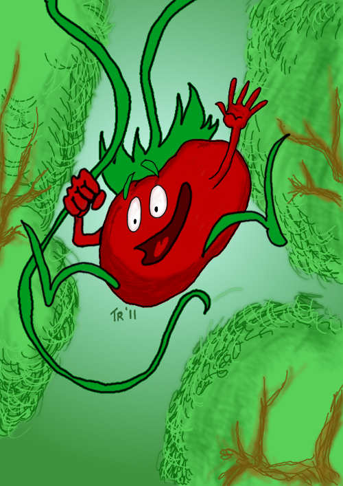 Tomata en rama