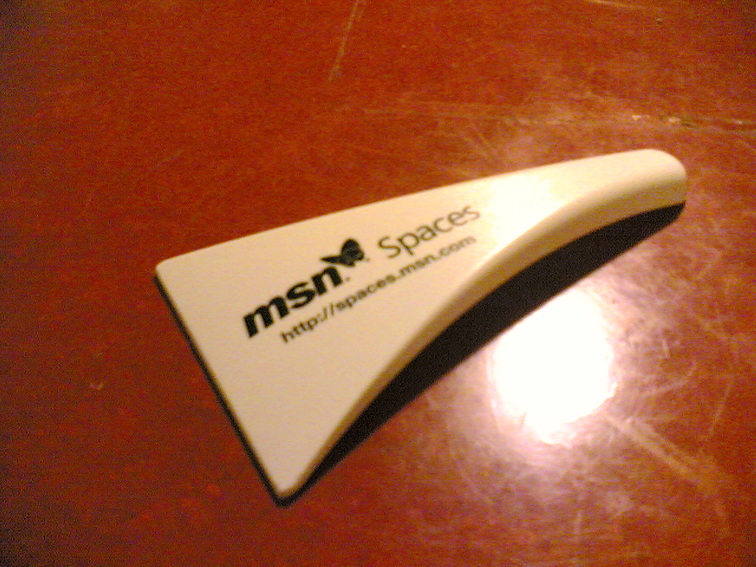 branded MSN Spaces blogs Ice Scraper