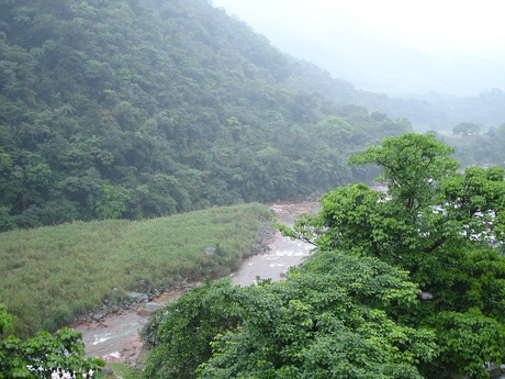 景觀