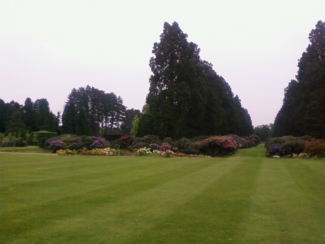 Ashridge