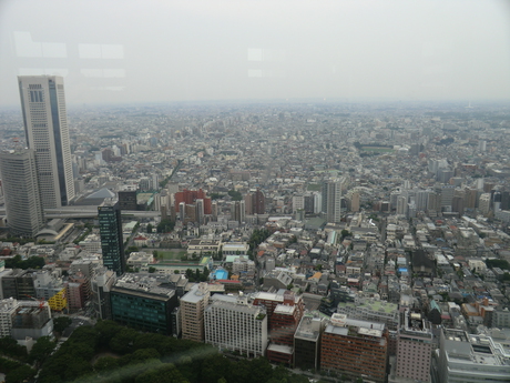 View from one of the Metropolitan Government Building towers; Tokyo doesn't really seem to end