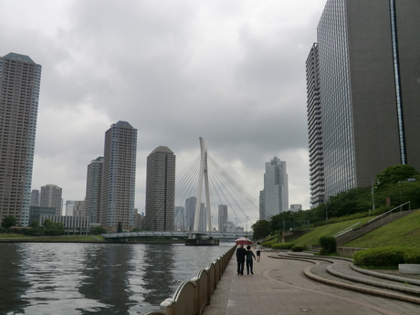 Large buildings along the river in Tokyo