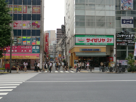 Akihabara; note the maid on the corner