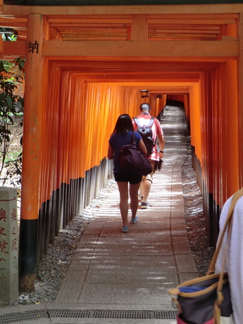Pathway of gates at Fushimi Inari