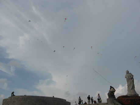 Kites in the park