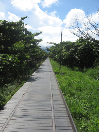 Farther out along the old railway path in Taitung