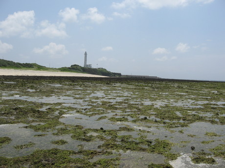 Coral tidal pools near the lighthouse