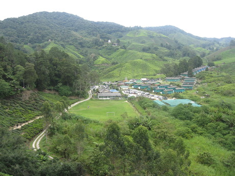 Part of the Boh Tea Estate. I think the main cluster of buildings is a worker village