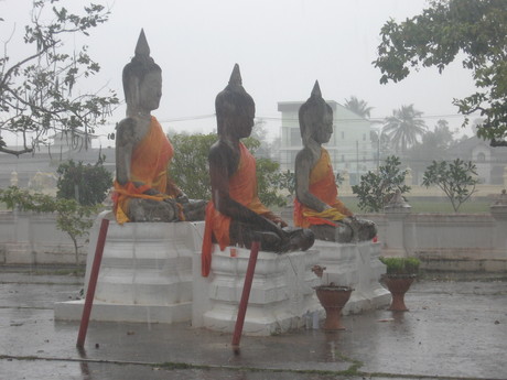 Buddhas in the rain