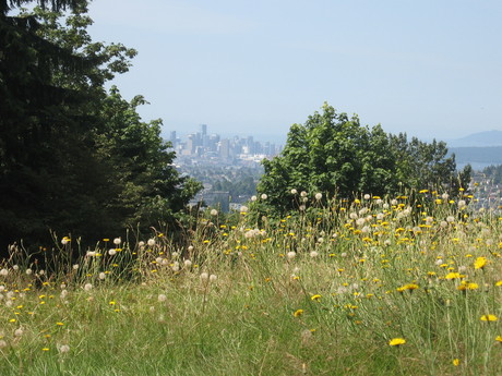 Vancouver from Centennial Park (if it is still called that), Burnaby Mountain.