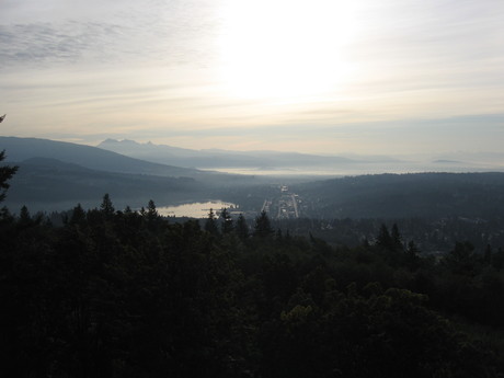 View up the valley from my room, Burnaby Mountain.