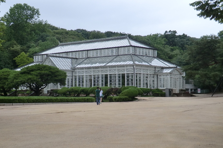 A Japanese Victorian greenhouse in the grounds of Changgyeonggung