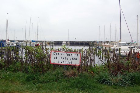 Man må ikke smide sten i vandet i Ringkøbing havn.