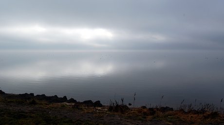 Gråvejr over Ringkøbing Fjord