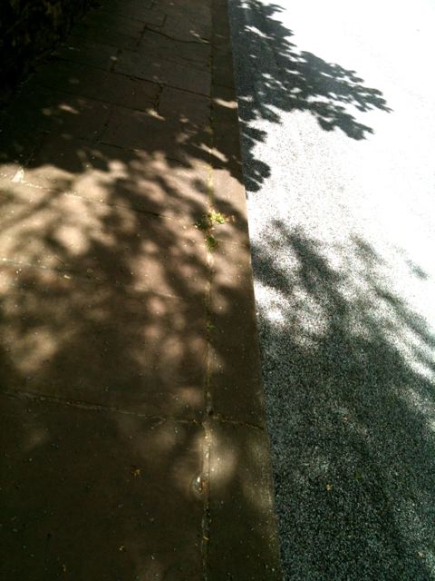 23: road shadow tree - helen birch